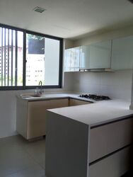 Oasis Garden (D19), Condominium #576668911